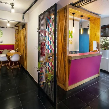Hotel Mx Mas Roma Cdmx, Trademark Collection By Wyndham-3
